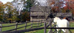 Historic Chadds Ford and Brandywine Valley