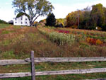 Chester County Countryside